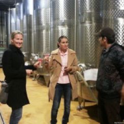 Learning about wine making at Lacerta Winery during Winery & Wine Tasting Tour, Sep 2013