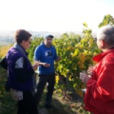 Vineyard visit during winery tour, Oct 2017